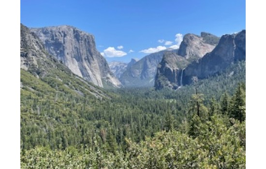 ヨセミテ国立公園 ONE WAY( 片道 / 帰り )